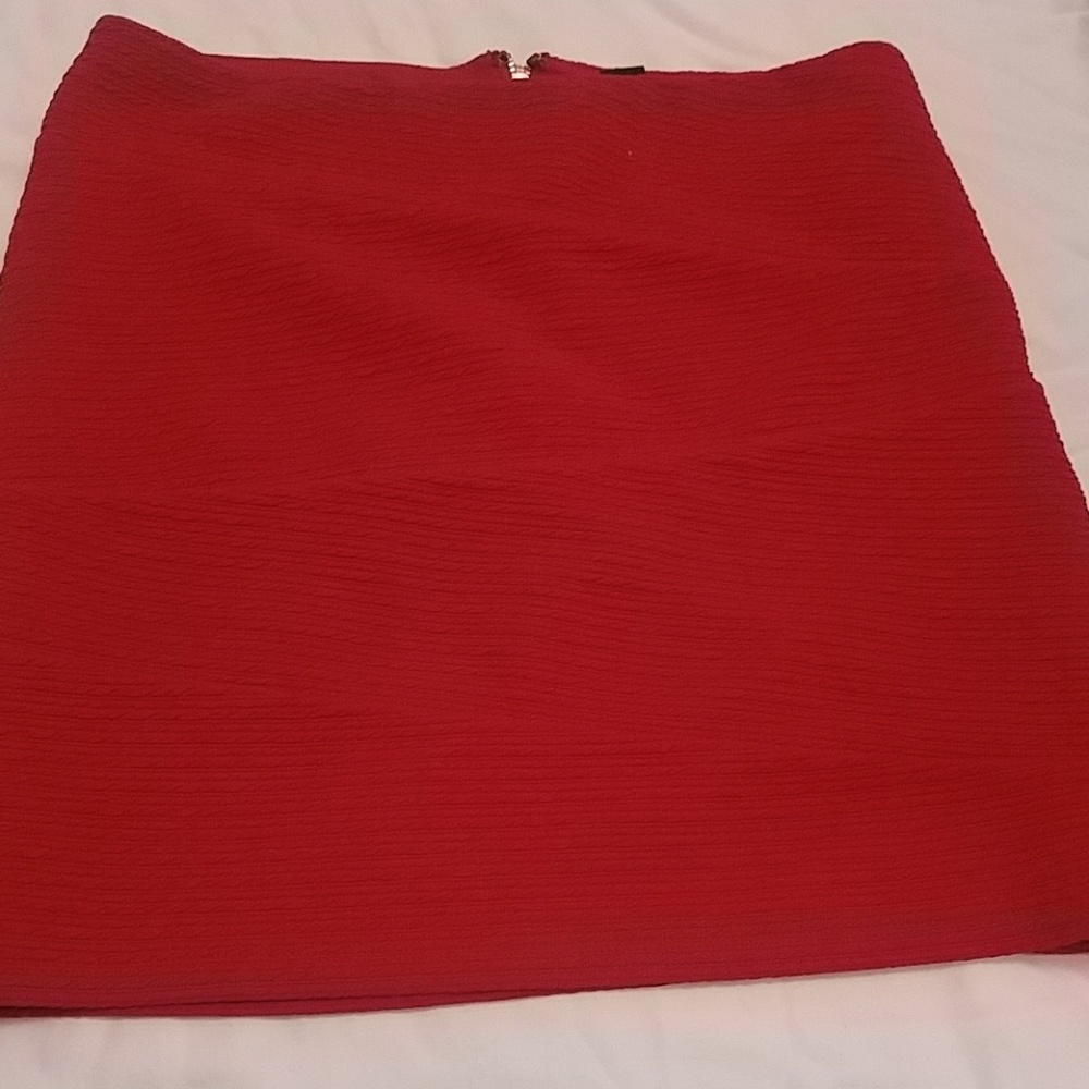 Skirt - Picture 2 of 3